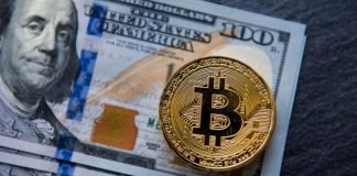 Dos hermanos adolescentes son acusados de cometer una de las mayores estafas con criptomonedas de la historia