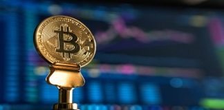 ¿Pensando en usar bots para operar con criptomonedas? Todo lo que debes saber sobre estas herramientas