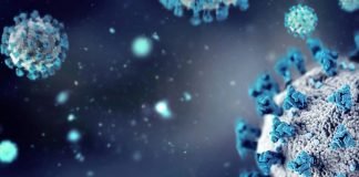 Todo lo que debes saber sobre el norovirus: el patógeno del vómito que preocupa por su alta contagiosidad