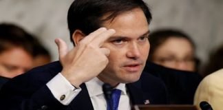 «Mi oficina está lista» Así ofreció ayuda Marco Rubio a los líderes de Black Lives Matter para que «migren a Cuba»