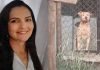 Una mujer muere al ser atacada por seis pitbulls en Brasil