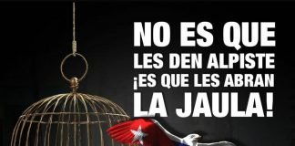 No es que les den alpiste, «es que les abran la jaula» – Por Laura De Rosa