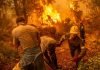 Isla griega de Eubea sigue luchando contra el fuego