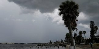 Instan a los residentes de la Florida a prepararse ante llegada de Fred