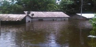 Despliegan nueva alerta ante nivel de desborde del río Orinoco