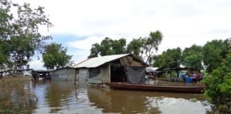 Alertan sobre brote de enfermedades en comunidades indígenas de Delta Amacuro