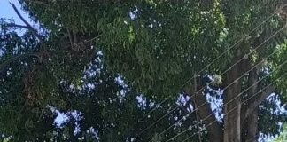 Reportaron actos de violencia en Zulia por las primarias del PSUV