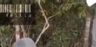 Militares del régimen quedaron en ‘vergüenza’ al abordar embarcación de manera ilegal en aguas colombianas