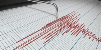 Sismo de magnitud 4.6 se sintió en varios estados del país