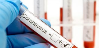 Covid-19 : Vacunados pueden tener carga viral alta tras infectarse con la variante Delta, según estudio