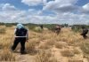 Encuentran crematorios y fosas clandestinas en la frontera de México y EEUU