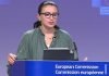 UE dice que demandas políticas a Venezuela no cambian por misión electoral