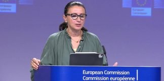 UE dice que demandas políticas a Venezuela no cambian por misión electoral