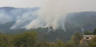 Dos incendios arrasan casi mil hectáreas en Galicia