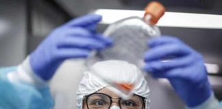 OMS vigila la nueva variante «C.1.2» aunque su prevalencia es muy baja variante