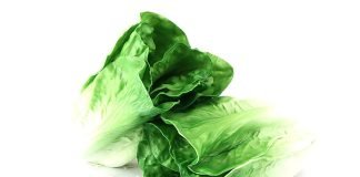 Lechuguinos un medio para intimidar y difamar a los enemigos del régimen