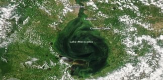 NASA: El lago de Maracaibo se está asfixiando con mareas negras y algas
