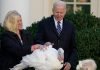 Biden perdona a dos pavos antes de Acción de Gracias fiel a la tradición