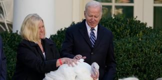 Biden perdona a dos pavos antes de Acción de Gracias fiel a la tradición