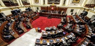 Opositores peruanos piden destituir a Pedro Castillo