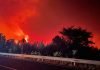 Incendios consumen 11.000 hectáreas en Chile