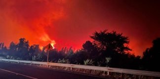 Incendios consumen 11.000 hectáreas en Chile