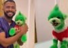 Peluquero de mascotas desata polémica al transformar un perro en “El Grinch”