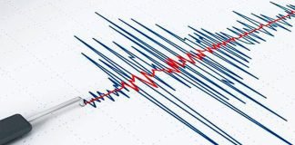 Terremoto de magnitud 6 sacude islas del sudoeste de Japón