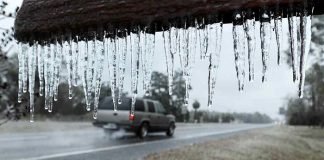 El estado de Florida registra una inusual nevada