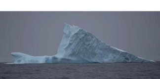 Inquietud por impacto del derretimiento de gigantesco iceberg en el Atlántico Sur