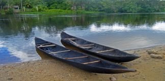 Denuncian abusos de las FAES y la GNB en Barrancas del Orinoco