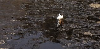 Repsol admite que derrame de petróleo es de 10.396 barrriles