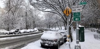 Nueva York amanece cubierta con primera nevada del año