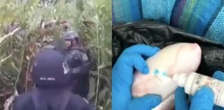 Cae narcojet con más de una tonelada de cocaína, que habría despegado de Venezuela, perteneciente a las disidencias de las FARC