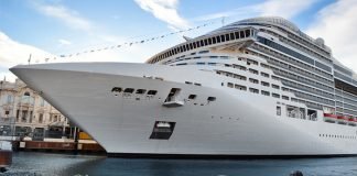 Todos los cruceros en EEUU presentan contagio de la Covid-19