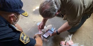 Argentina: Tres pacientes fueron dados de alta, volvieron a consumir cocaína envenenada y están internados