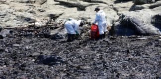 Dos hospitalizados por intoxicación por el derrame de petróleo en Perú