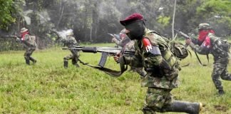 Registran unos 66 homicidios en lo que va de año en frontera colombovenezolana