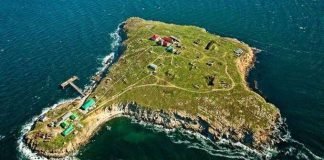 Soldados ucranianos que desafiaron a rusos en la isla de la Serpiente están «vivos y bien”