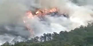 Un avión con 133 personas a bordo se estrella en el sur de China