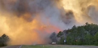 Incendio forestal en Florida obliga a evacuar más de mil viviendas