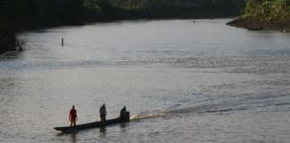 La diferencia entre tregua, cese al fuego y armisticio