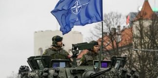 Finlandeses apoyan el ingreso de su país a la OTAN