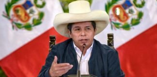 Justicia peruana prohíbe salida del país a sobrinos de Castillo