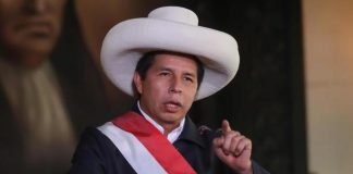 Subcomisión legislativa aprobó investigar a Castillo por traición a la patria