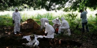 Hallan once cadáveres en una fosa clandestina en el oeste de México