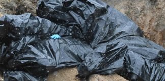 #Opinión | La guerra entre dos Culturas espirituales y la masacre vivida- Por Karin Silvina Hiebaum