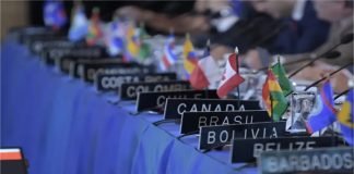 La OEA suspende a Rusia como observador permanente