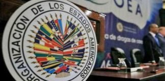 OEA preocupada por demora del escrutinio en El Salvador