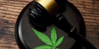 Nueva Jersey comenzará la venta recreativa de marihuana el 21 de abril